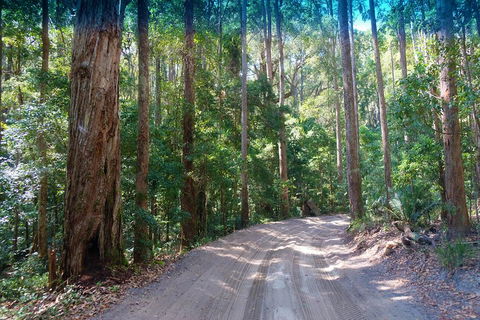 Fraser Island 4WD Tour From Rainbow Beach - Hotel Accommodation 4