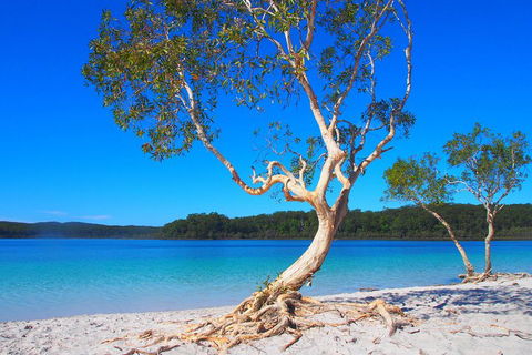 Fraser Island 4WD Tour From Rainbow Beach - Hotel Accommodation 5