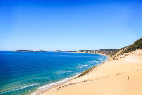 Kayak With Dolphins And 4WD Great Beach Drive Day Trip From Noosa - Hotel Accommodation 0
