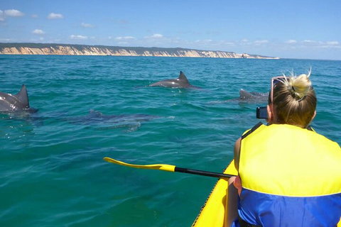 Kayak With Dolphins And 4WD Great Beach Drive Day Trip From Noosa - Hotel Accommodation 1