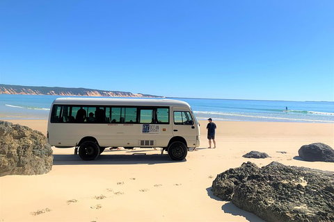 Kayak With Dolphins And 4WD Great Beach Drive Day Trip From Noosa - Hotel Accommodation 4