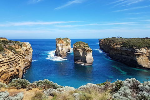 Great Ocean Road Adventure - Private Tour - Reverse - Hotel Accommodation 1
