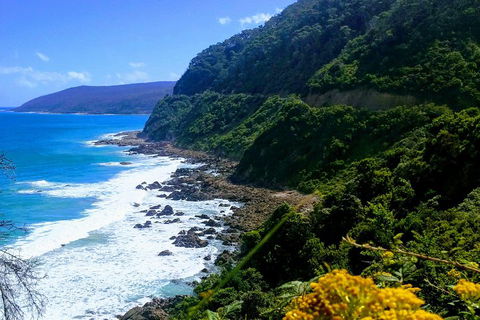 Great Ocean Road Adventure - Private Tour - Reverse - Hotel Accommodation 3