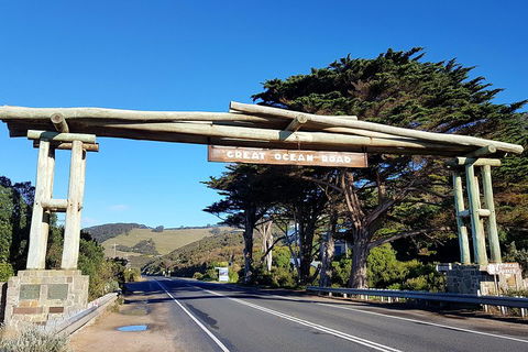 Great Ocean Road Adventure - Private Tour - Reverse - Hotel Accommodation 5