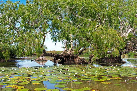 Ethical Adventures - Best In The WET - Litchfield / Kakadu 3 Day- Max 10 Guests - Hotel Accommodation 1