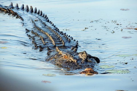 Ethical Adventures - Best In The WET - Litchfield / Kakadu 3 Day- Max 10 Guests - Hotel Accommodation 4