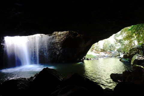 Rainforest & Waterfalls Extravaganza - Hotel Accommodation 0