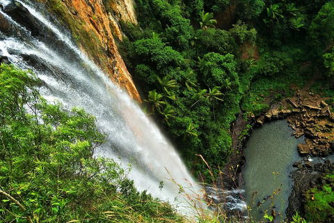 Rainforest & Waterfalls Extravaganza - Hotel Accommodation 1