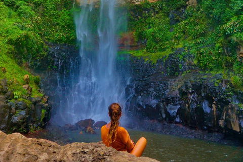 Rainforest & Waterfalls Extravaganza - Hotel Accommodation 2