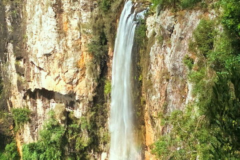 Rainforest & Waterfalls Extravaganza - Hotel Accommodation 3