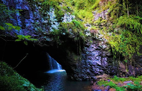 Rainforest & Waterfalls Extravaganza - Hotel Accommodation 5