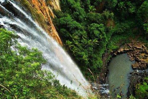 Natural Arch, Rainforest & Volcano Canyon - Private Half Day Tour - Hotel Accommodation 5