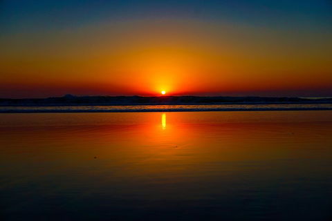 Glow Worms Private Tour - Nocturnal Rainforest Walk - Hotel Accommodation 3