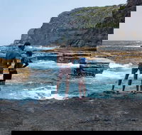 Sydney Private Tour Featuring Wilderness Wildlife Waves Waterfalls and Wine