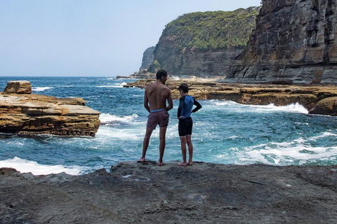 Sydney Private Tour Featuring Wilderness, Wildlife, Waves, Waterfalls And Wine - Hotel Accommodation 0