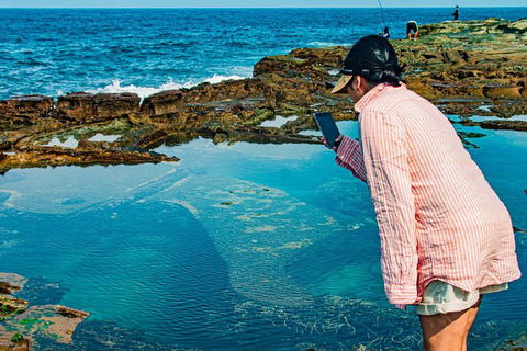 Sydney Private Tour Featuring Wilderness, Wildlife, Waves, Waterfalls And Wine - Hotel Accommodation 1