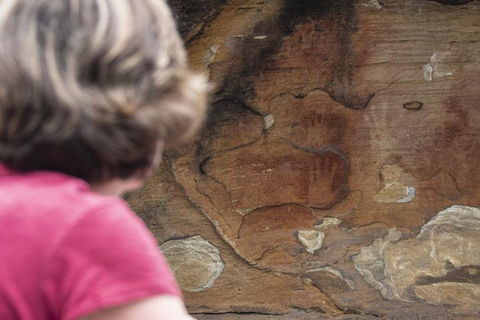 Sydney Private Tour Featuring Wilderness, Wildlife, Waves, Waterfalls And Wine - Hotel Accommodation 2