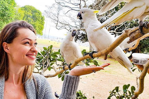 Sydney Private Tour Featuring Wilderness, Wildlife, Waves, Waterfalls And Wine - Hotel Accommodation 4