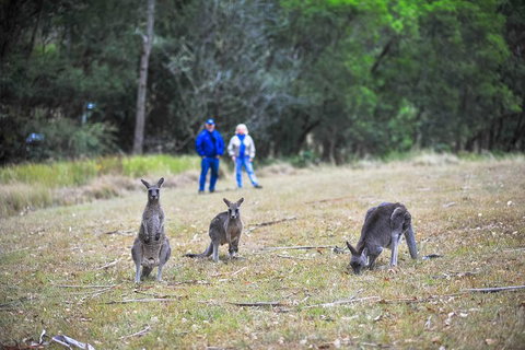 Blue Mountains Private Tour From Sydney - Hotel Accommodation 2