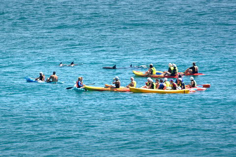 The Byron Bay Sea Kayak Tour - Hotel Accommodation 1