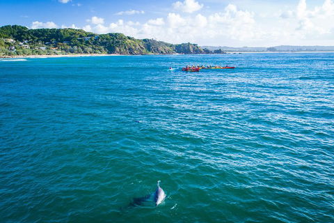 The Byron Bay Sea Kayak Tour - Hotel Accommodation 2