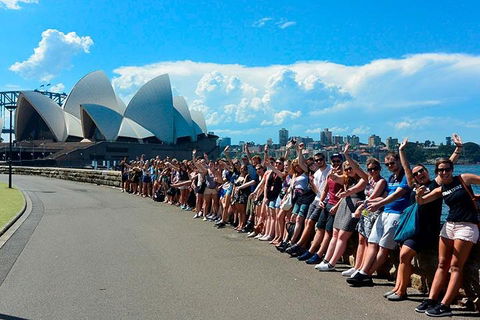 7-Day Tour In Sydney With Airport Pickup - Hotel Accommodation 3