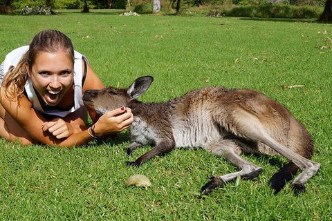 7-Day Tour In Sydney With Airport Pickup - Hotel Accommodation 4