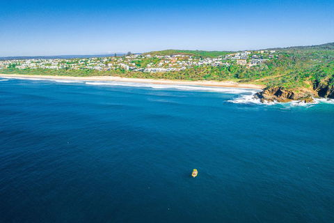 2-Hour Guided Whale Watching Tour At Noosa - Hotel Accommodation 4