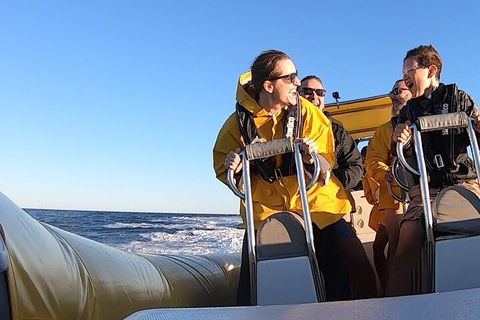 Noosa Oceanrider - Adventure Tour - Hotel Accommodation 0