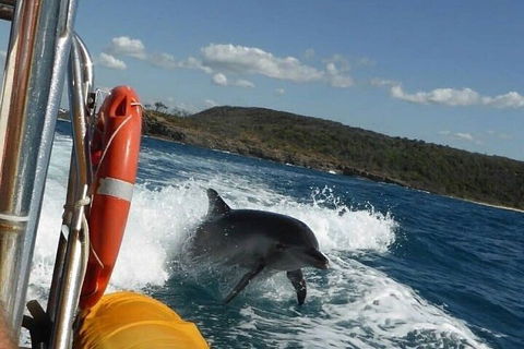 Noosa Oceanrider - Adventure Tour - Hotel Accommodation 1