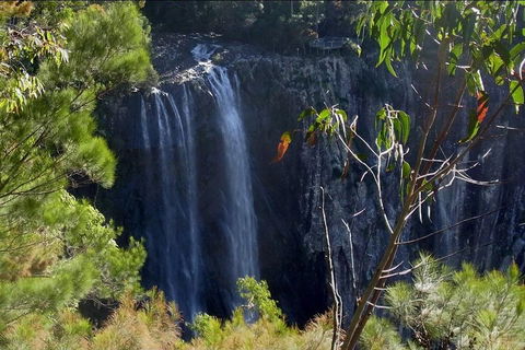 Byron Bay Hinterland Tour Including Rainforest Walk To Minyon Falls - Hotel Accommodation 0