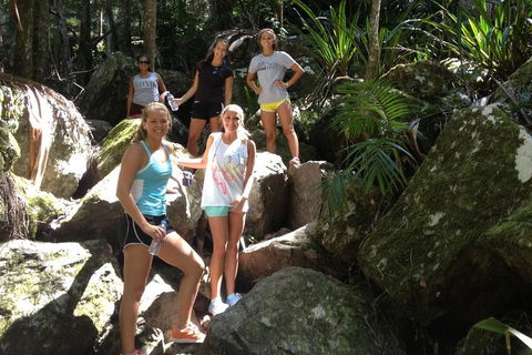 Byron Bay Hinterland Tour Including Rainforest Walk To Minyon Falls - Hotel Accommodation 3
