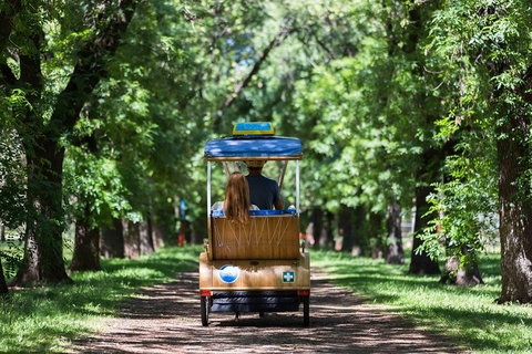 Adelaide 90-Minute Pedicab Tour: Scenic Green & River Experience - Hotel Accommodation 2