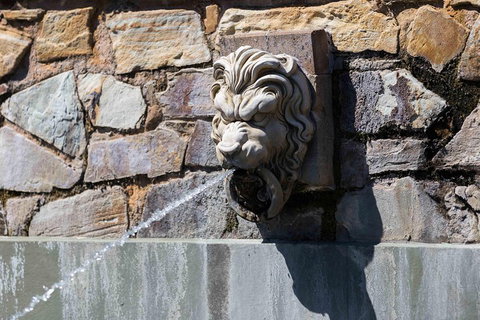 Adelaide 90-Minute Pedicab Tour: Scenic Green & River Experience - Hotel Accommodation 3