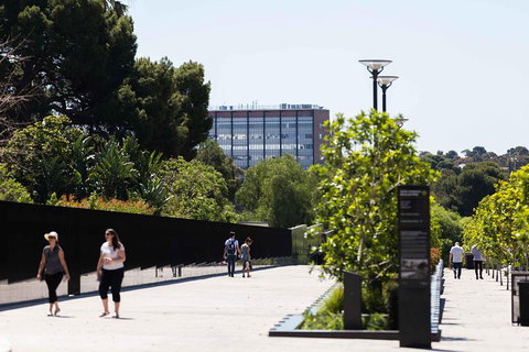 Adelaide 90-Minute Pedicab Tour: Scenic Green & River Experience - Hotel Accommodation 4