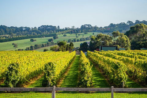 Private Tours From Melbourne - Hotel Accommodation 1