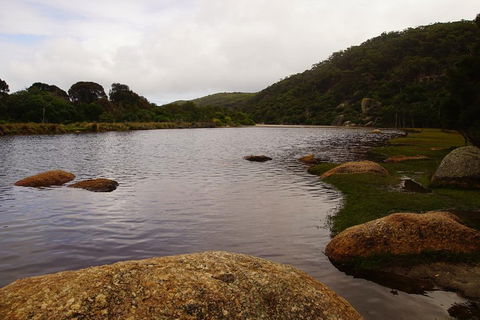 Private Tours From Melbourne - Hotel Accommodation 2