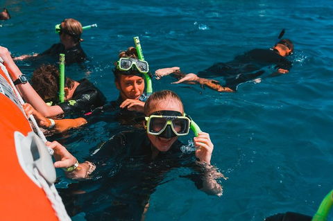 Whitehaven Beach And Hill Inlet Lookout Full-Day Snorkeling Cruise By High-Speed Catamaran - Hotel Accommodation 3