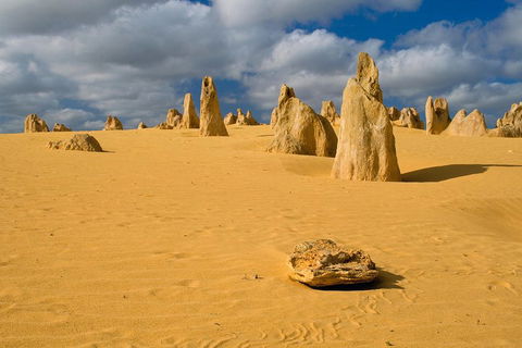 The Pinnacles, Sea And Dunescapes, Bush Reserve And Sunset Day Tour - Hotel Accommodation 0