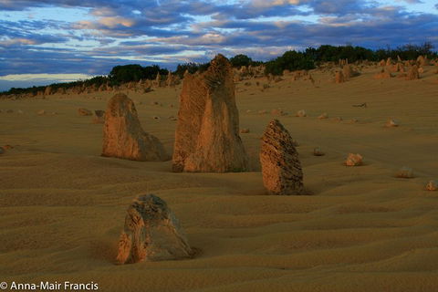 The Pinnacles, Sea And Dunescapes, Bush Reserve And Sunset Day Tour - Hotel Accommodation 1
