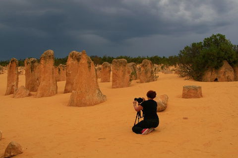The Pinnacles, Sea And Dunescapes, Bush Reserve And Sunset Day Tour - Hotel Accommodation 2