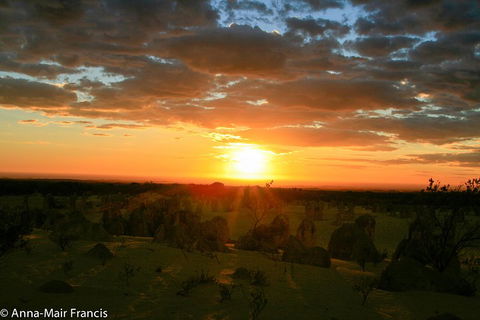 The Pinnacles, Sea And Dunescapes, Bush Reserve And Sunset Day Tour - Hotel Accommodation 3