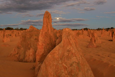 The Pinnacles, Sea And Dunescapes, Bush Reserve And Sunset Day Tour - Hotel Accommodation 4