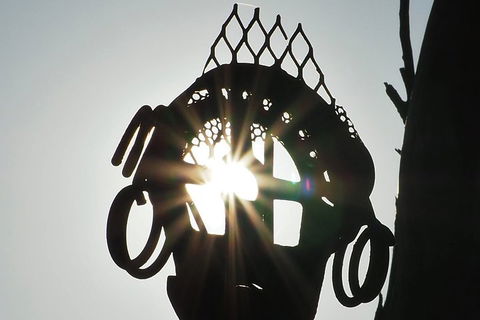 Wave Rock, Wild Flowers And Astro Photography - Hotel Accommodation 4