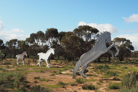 Wave Rock, Wild Flowers And Astro Photography - Hotel Accommodation 5