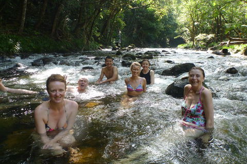 Daintree Rainforest, Cape Tribulation, Mossman Gorge Small-Group Day Tour - Hotel Accommodation 0