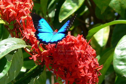 Daintree Rainforest, Cape Tribulation, Mossman Gorge Small-Group Day Tour - Hotel Accommodation 2