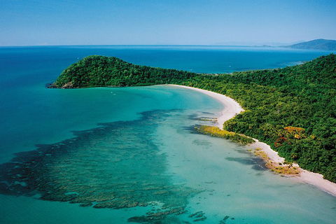 Daintree Rainforest, Cape Tribulation, Mossman Gorge Small-Group Day Tour - Hotel Accommodation 4