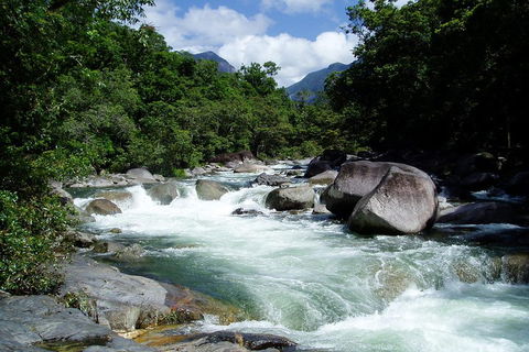 Daintree Rainforest, Cape Tribulation, Mossman Gorge Small-Group Day Tour - Hotel Accommodation 5