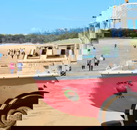 1770 Coastline Tour by LARC Amphibious Vehicle Including Picnic Lunch - Hotel Accommodation